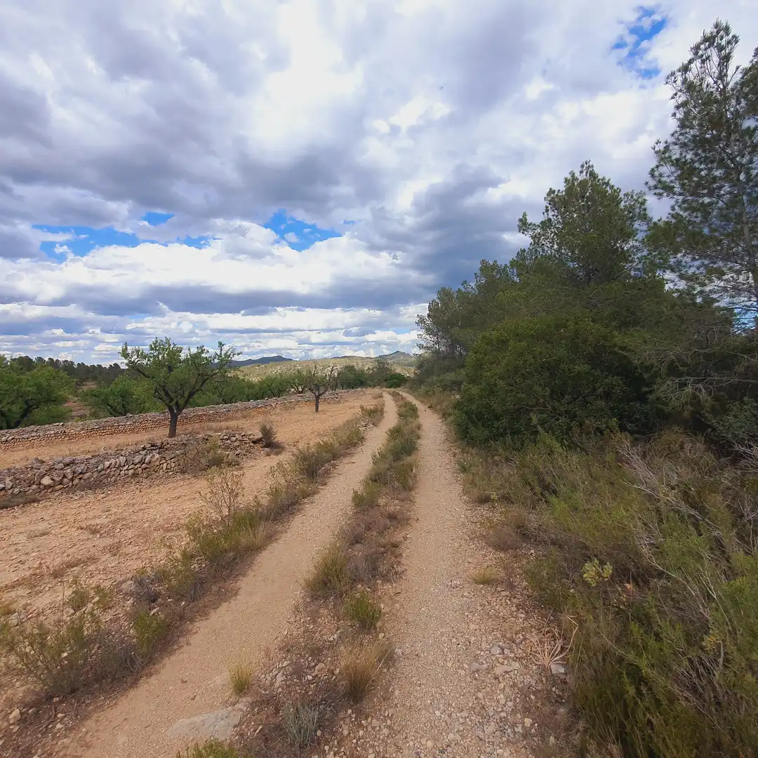 Rural land for sale in El Pinell de Brai, imagen 3