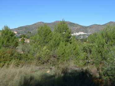 Terrenys i solars en venda a Xaló