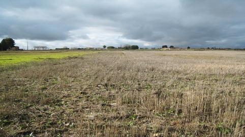 Photo 5 of Residential for sale in Villamiel de Toledo, Toledo