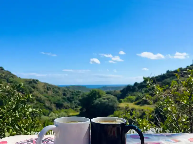 Vista exterior de Finca rústica en venta en Altos de Estepona