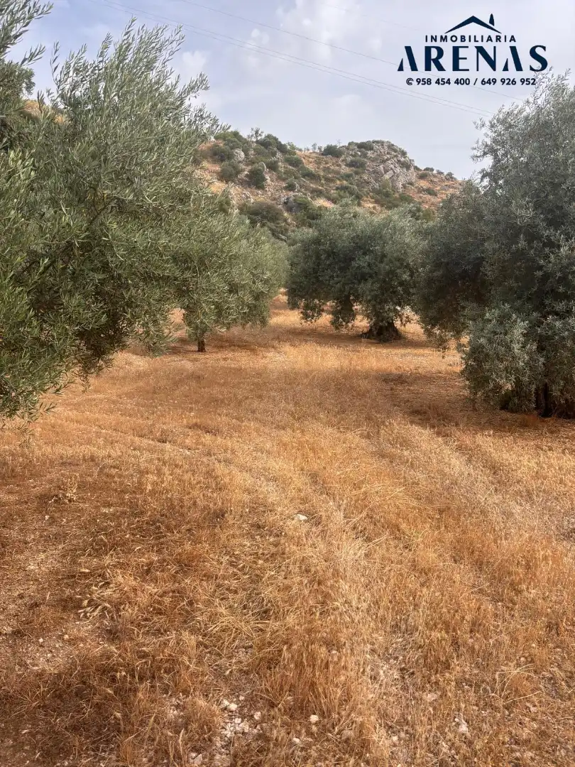 Rustikales Grundstück zum Verkauf in Calle Pozo de Íllora, imagen 6