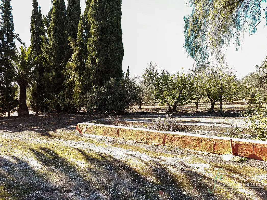 Garden of Country homes for sale in Puente Genil  with Terrace and Swimming Pool