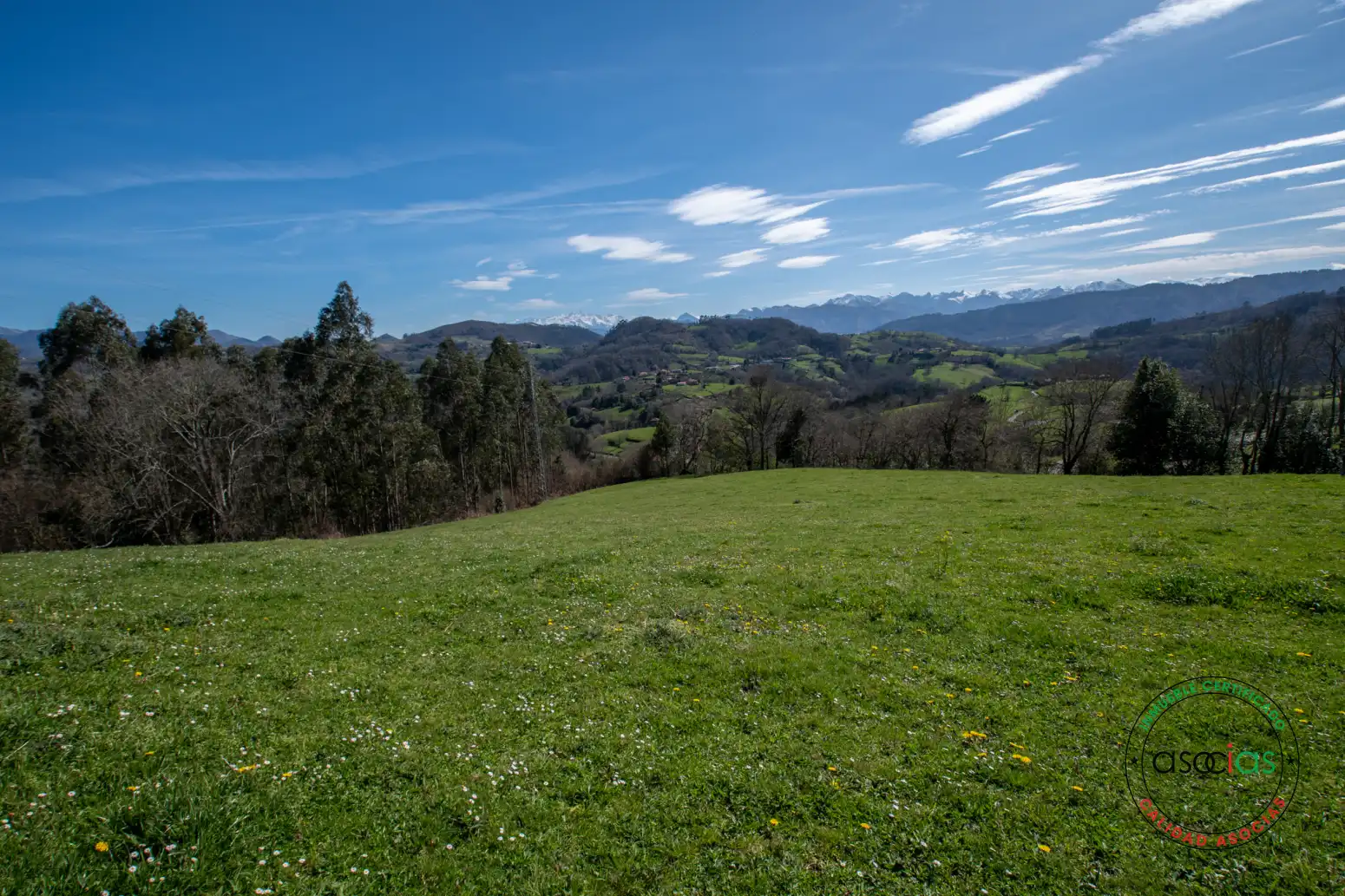 Terreno rustico in vendita a Cabranes - Naveda, imagen 19