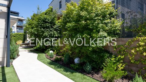 Photo 3 of Detached homes for rent in Las Lomas, Boadilla del Monte