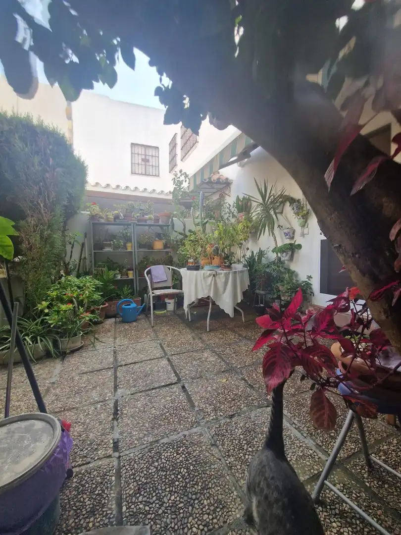 Reihenhaus mit Terrasse zum Verkauf in El Juncal - Vallealto