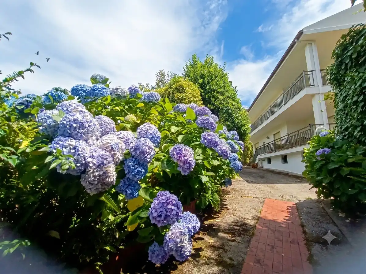 Vista exterior de Casa o chalet de alquiler en A Guarda   con Calefacción, Jardín privado y Parquet