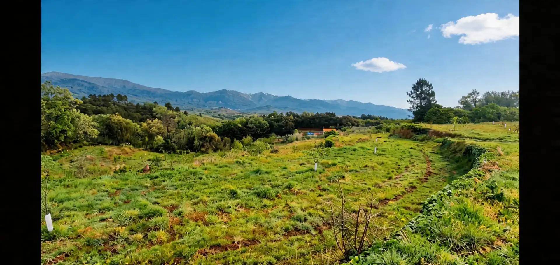 Terreny rústic en venda a Jaraíz de la Vera, imagen 22