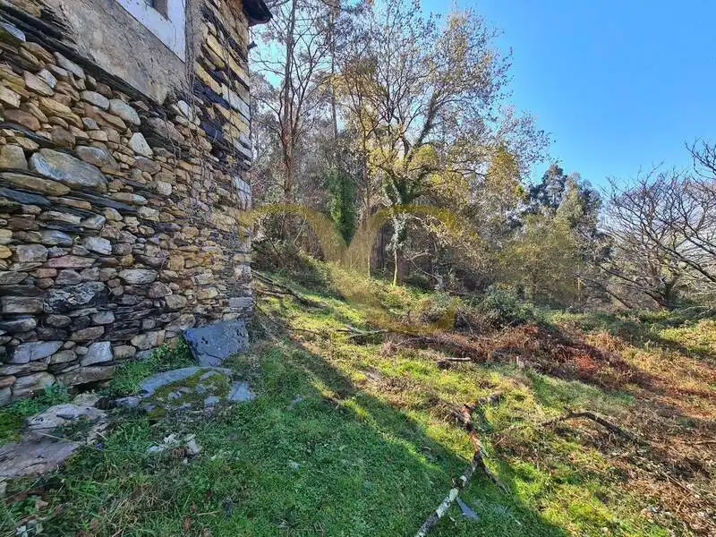 Casa o xalet en venda en Villayón amb Jardí privat