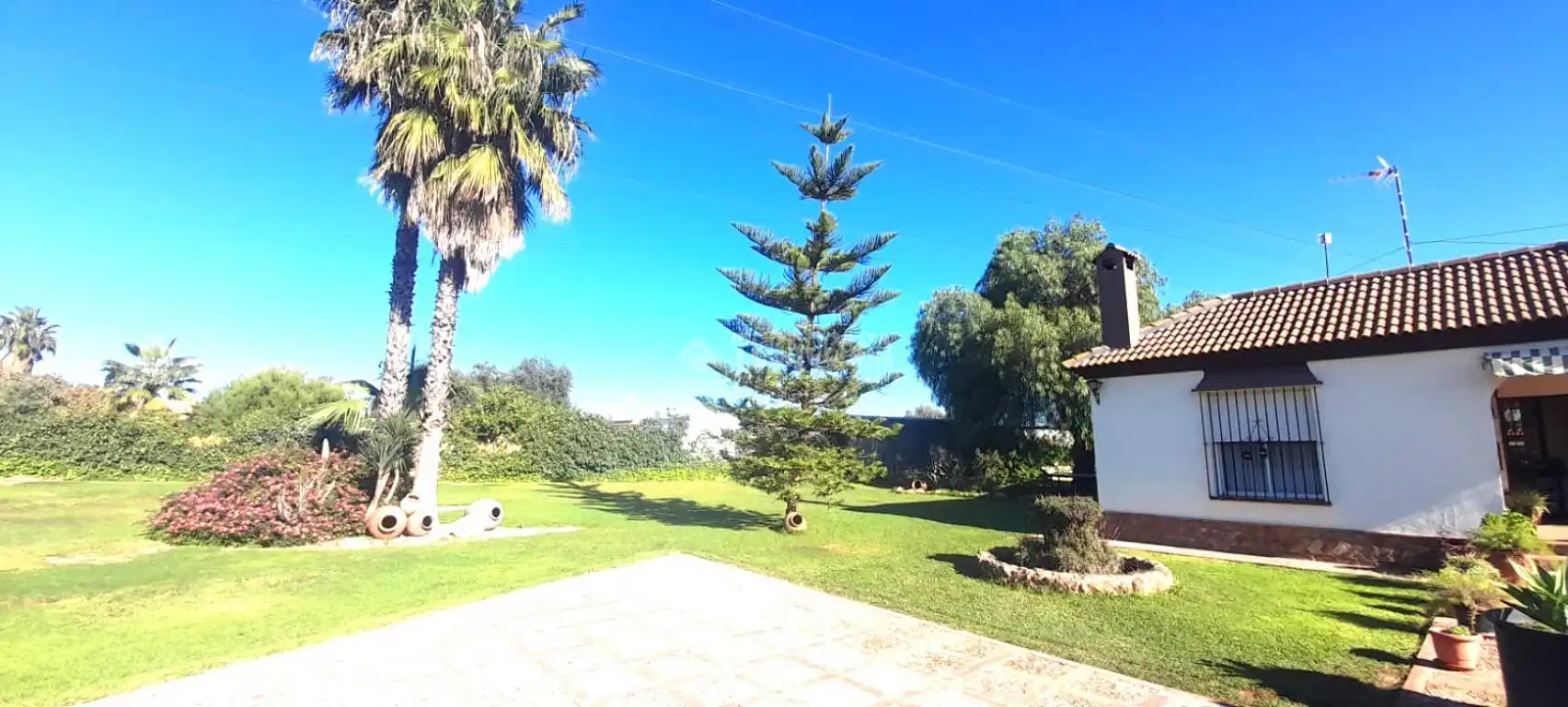 Finca rústica en venta en Coria del Río