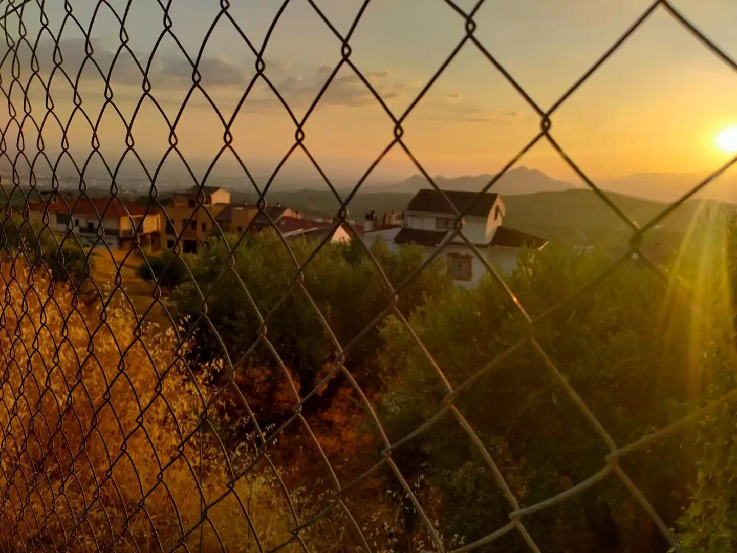 Grundstücke und Bauplätze zum Verkauf in Güevéjar, imagen 3