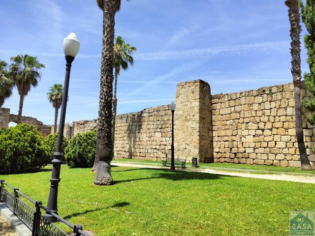 Local comercial en Alquiler en Centro