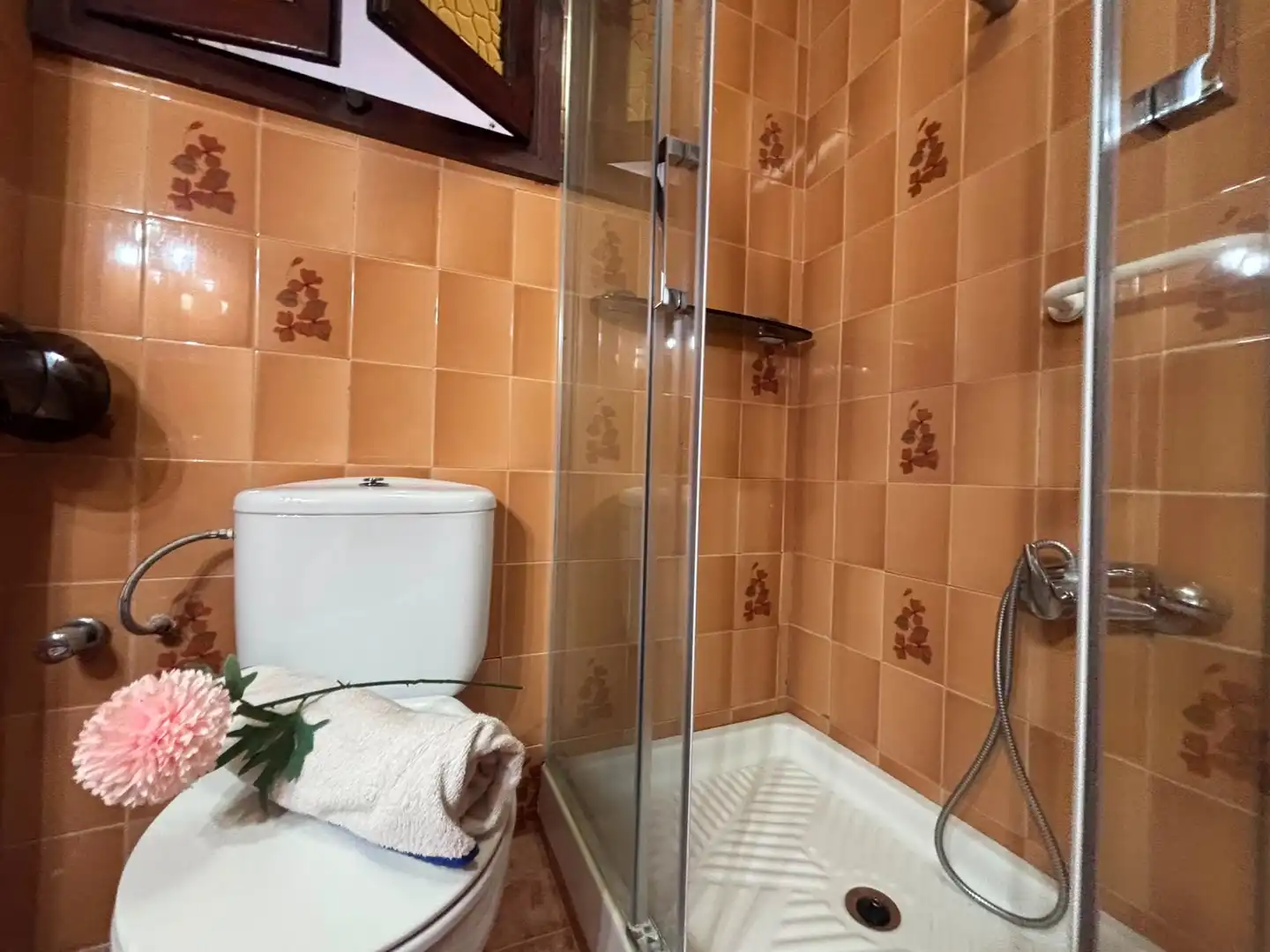Bany de Casa o xalet en venda en Burjassot amb Terrassa i Balcó
