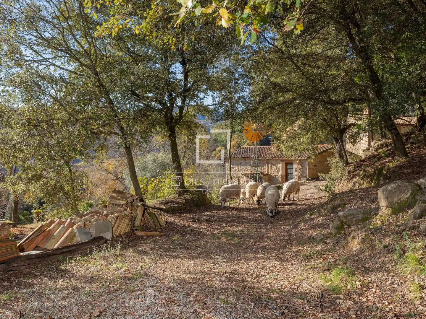 Exterior view of Country homes for sale in Banyoles  with Heating, Private garden and Terrace