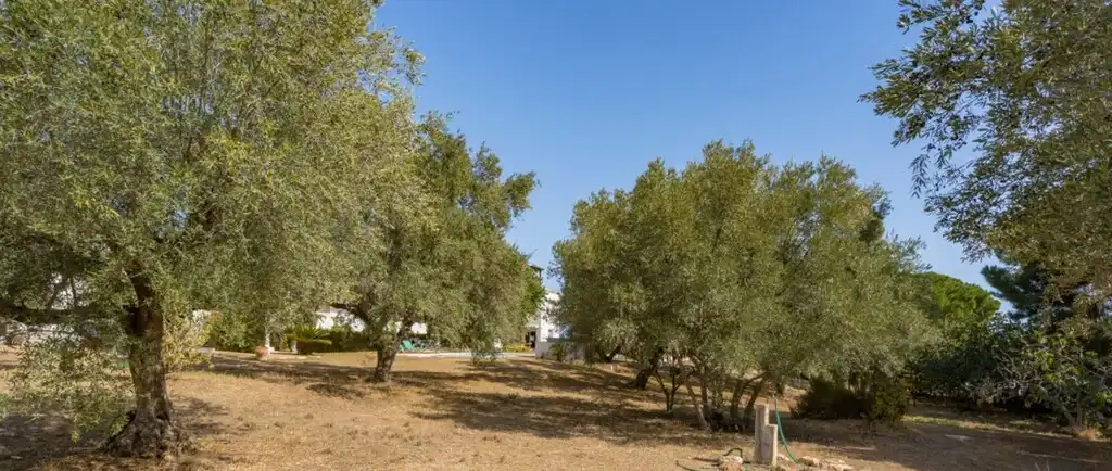 Detached house with pool for sale in Churriana, imagen 8