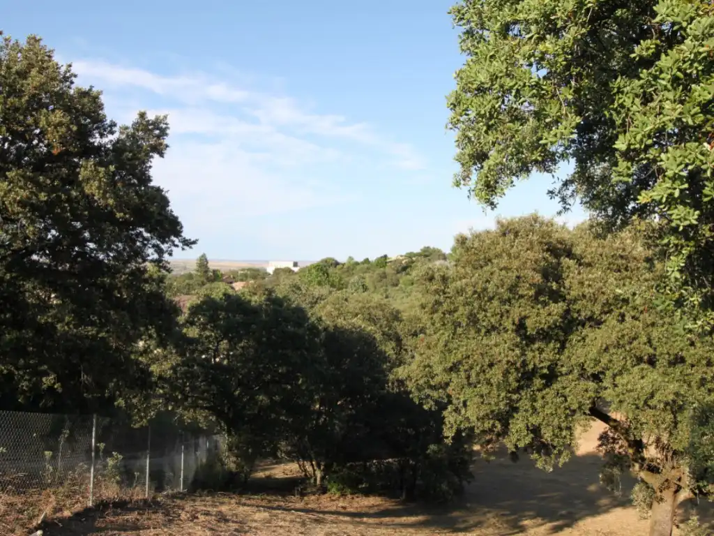 Terreny residencial en venda a Ciudalcampo, imagen 17