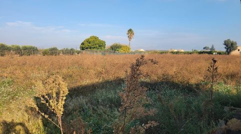 Foto 3 de Terreno en venta en Calle Polígono, 12, Casco Antiguo - Darremur, Almazora / Almassora