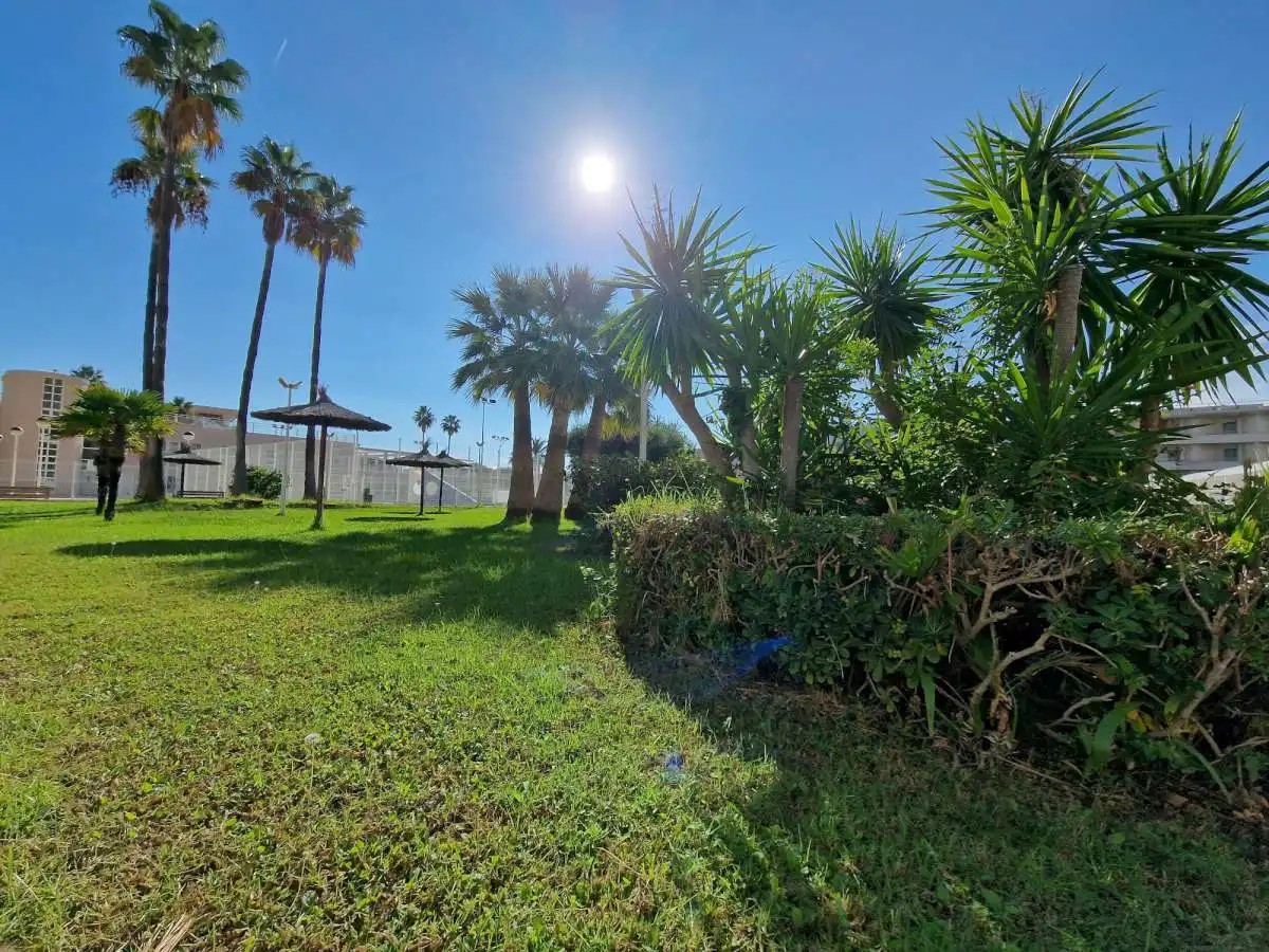 Appartement compact avec piscine à vendre à Carrer Mare Nostrum, imagen 33