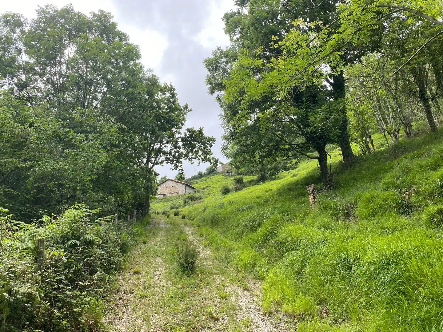 Land for sale in La Molina, Cabrales
