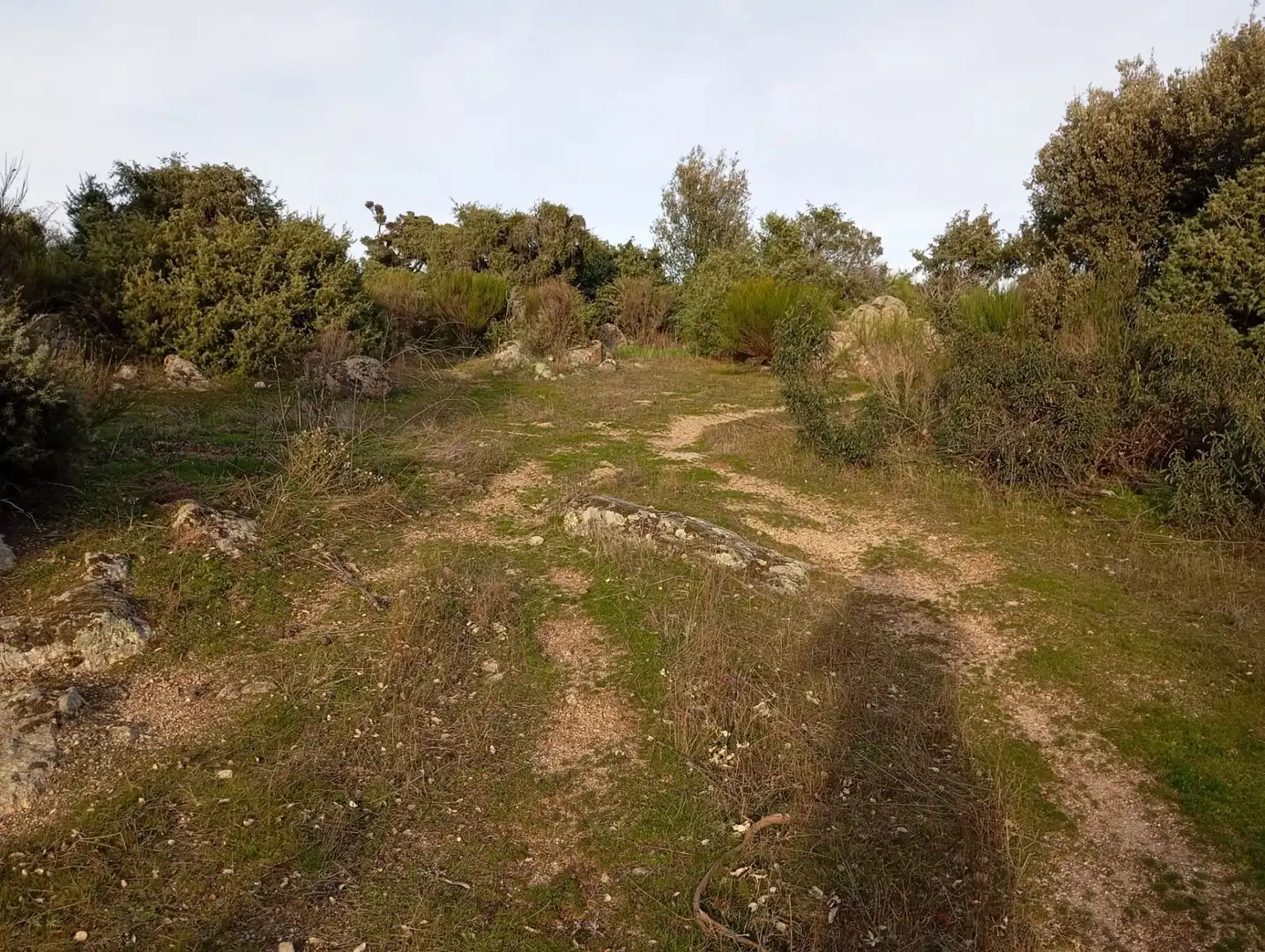 Terreno rustico in vendita a Fresnedillas de la Oliva, imagen 7