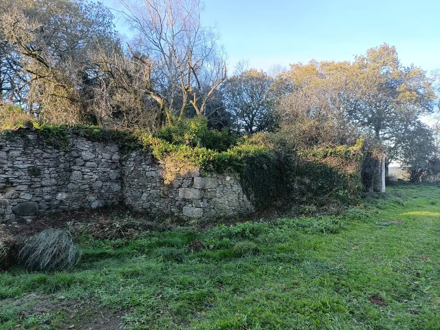 House with garden for sale in Curtis, imagen 11