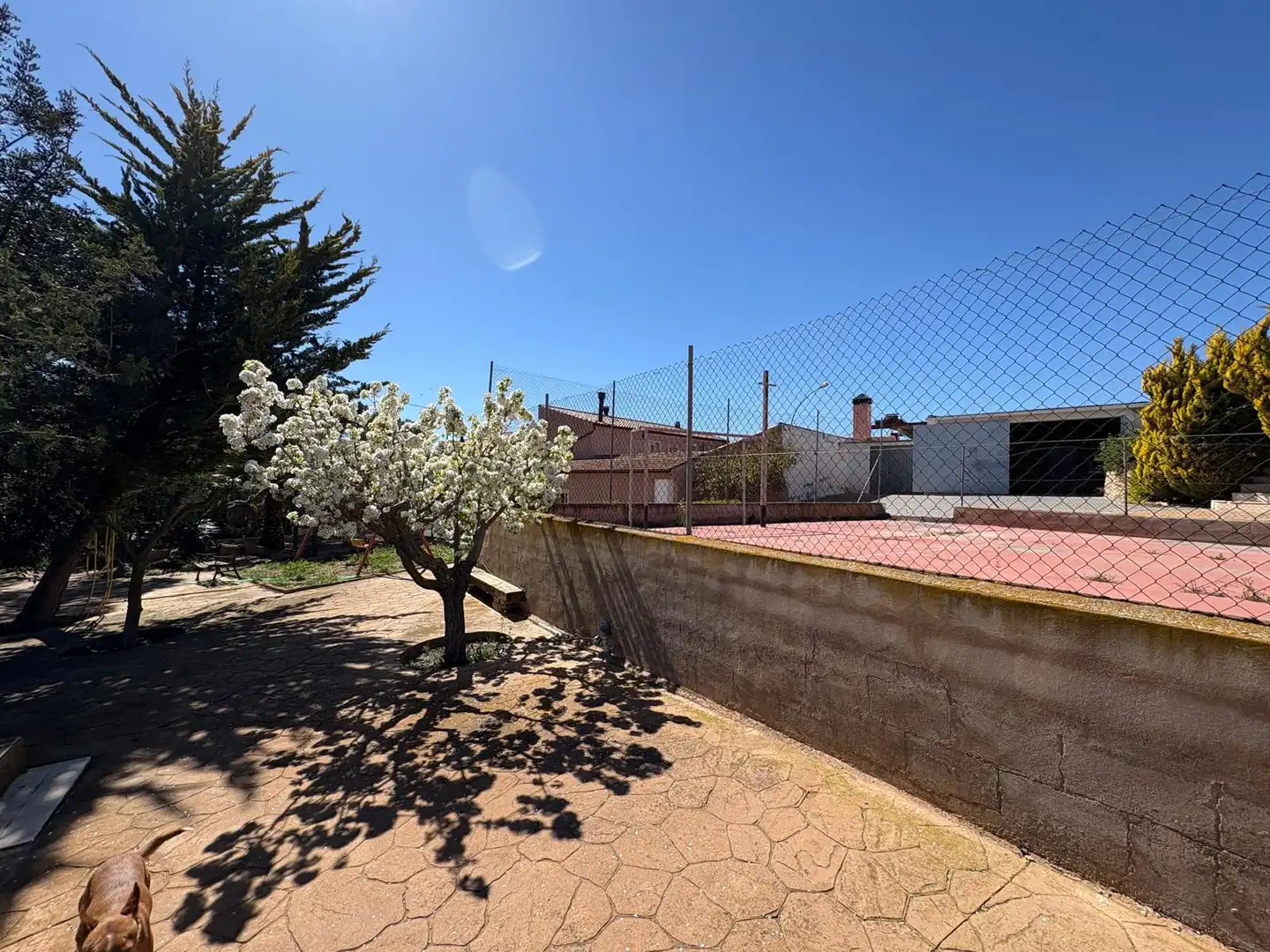 Villa in vendita a CV-83, el Fondó, Monòver / Monóvar, el Vinalopó Mitjà / El Vinalopó Medio, Alacant / Alicante, Valencian Community, Spain, imagen 3
