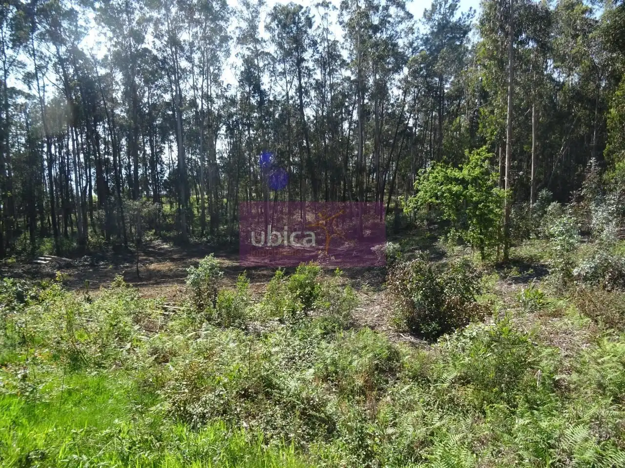 Terreny residencial en venda a O Porriño, imagen 4
