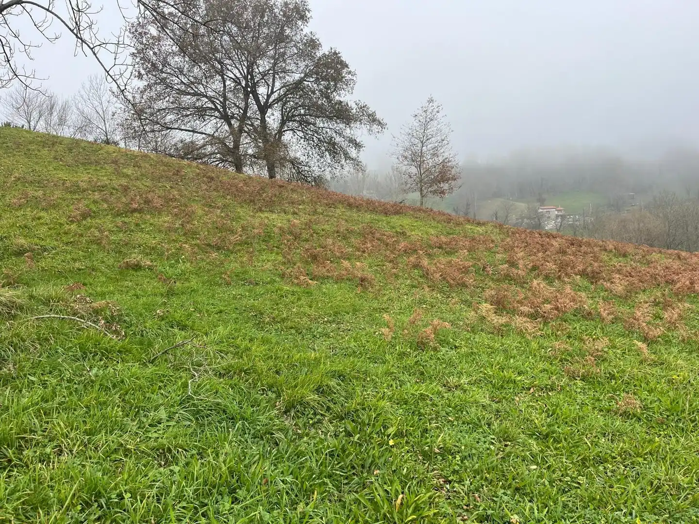 Residential land for sale in Polígono 11 Parcela 298 MATA LA FAME. LANGREO (AS 11, imagen 3