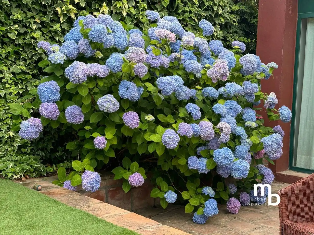 Jardín de Casa adosada en venta en Pozuelo de Alarcón con Aire acondicionado, Calefacción y Jardín privado