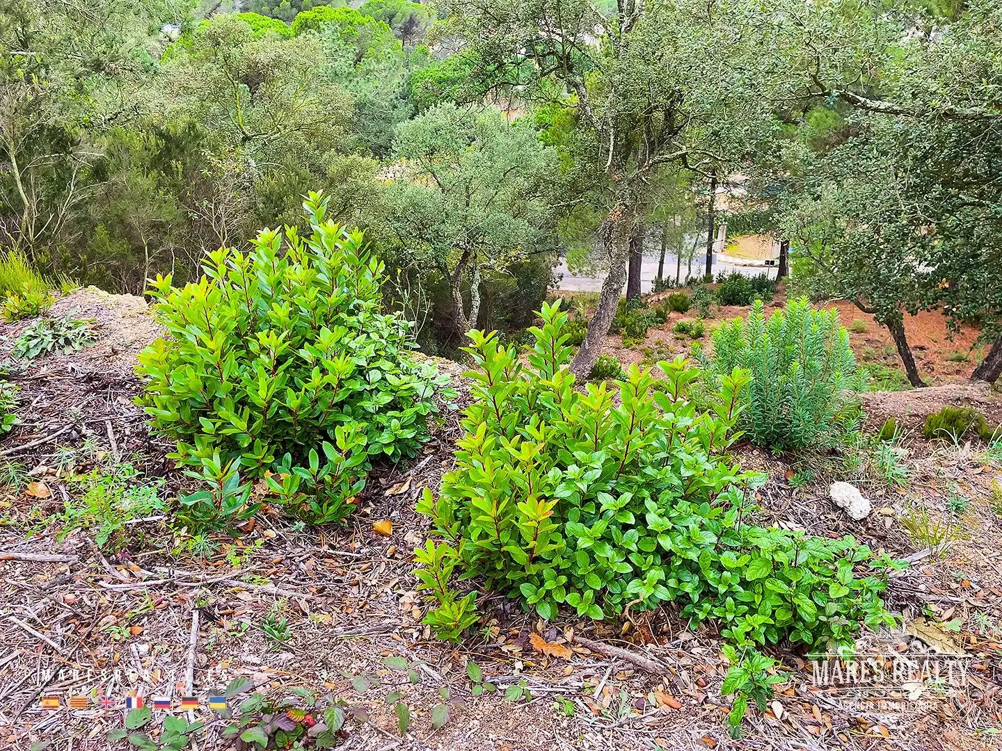 Grundstücke und Bauplätze zum Verkauf in Lloret Residencial - Montlloret, imagen 6