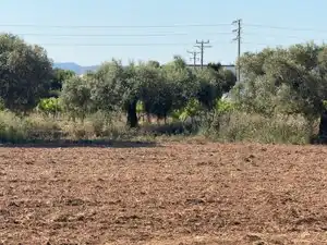 Land for sale in Bellvei