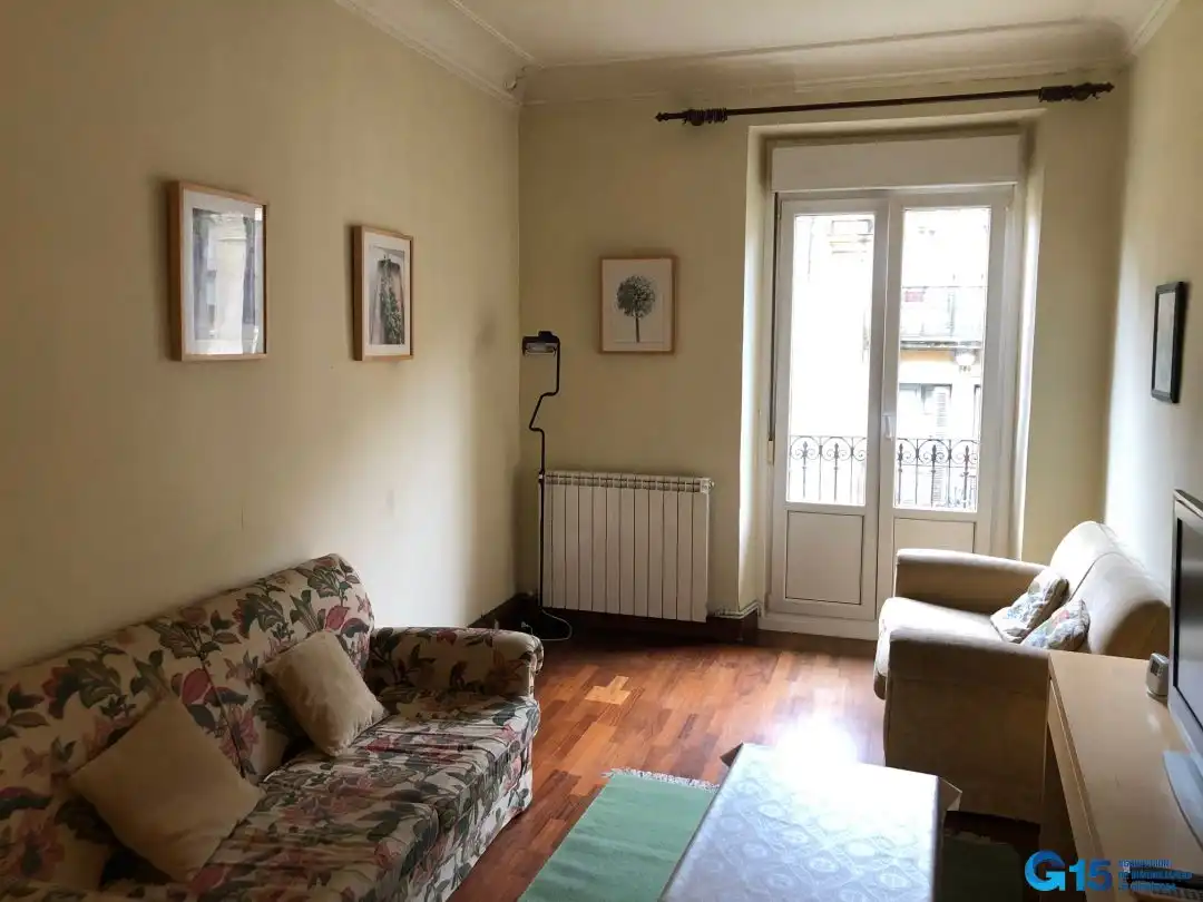 Sala d'estar de Pis de lloguer en Donostia - San Sebastián  amb Calefacció i Balcó