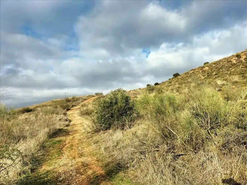 Land for sale in Alcalá de Henares