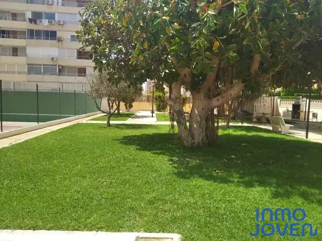 Wohnungen zur Miete in Av. Jaime I, 110, Playa Muchavista