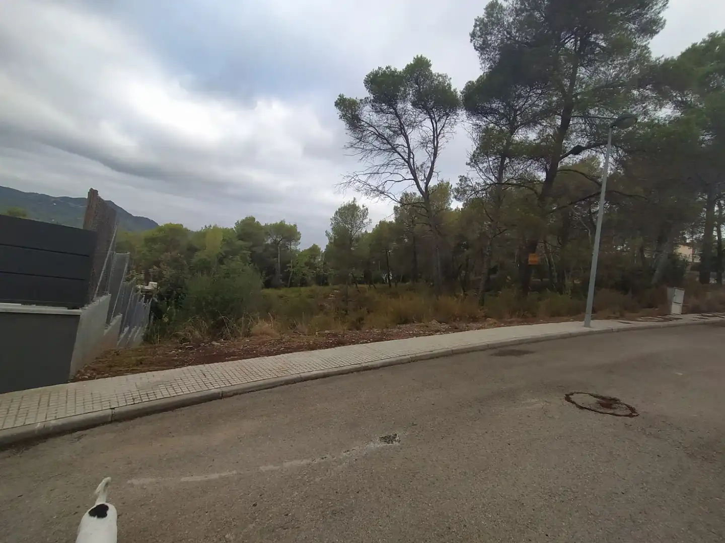 Terreno residencial en venta en Carrer Josep Martí Bofarull-C 4, imagen 2