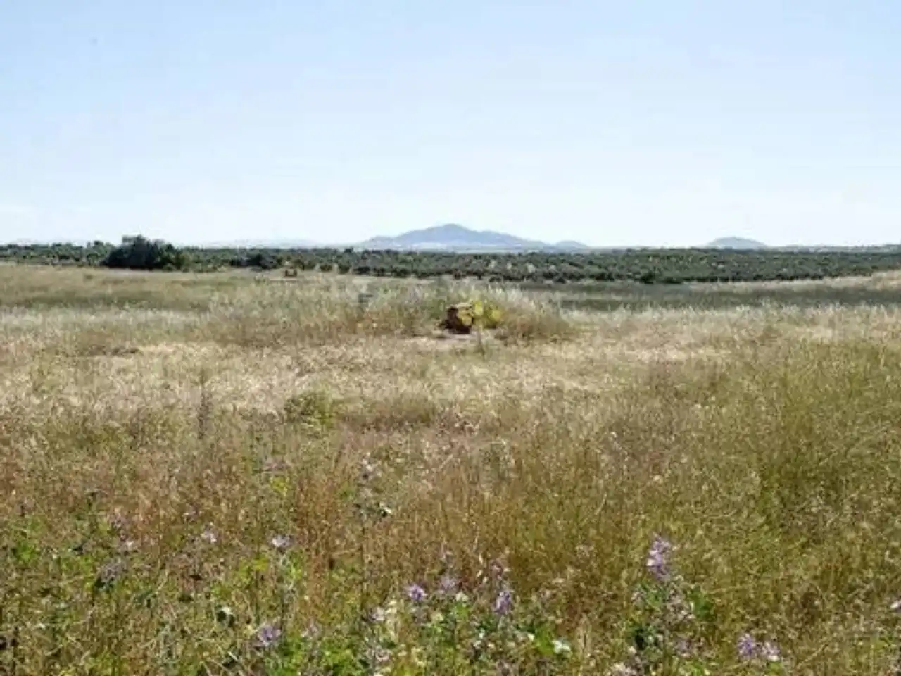Terreno residenziale in vendita a Argés, imagen 13