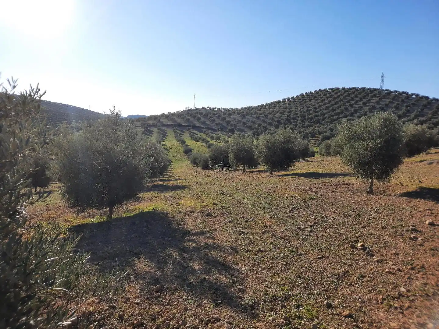 Terreno residencial en venta en Jauja, imagen 11