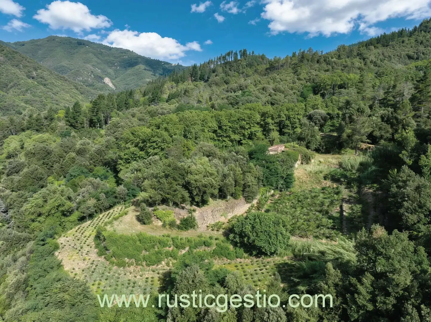 Finca rústica en venta en Osor con Jardín privado