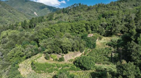 Foto 3 de Finca rústica en venda a Plaça de Les Escoles, 2, Osor, Girona