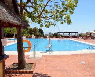 Piscina de Estudi en venda en Torremolinos amb Aire condicionat, Calefacció i Terrassa