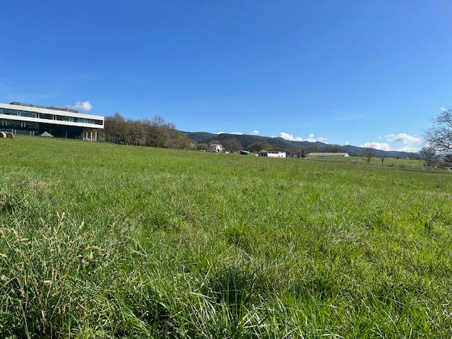 Terreno industrial en Venta en Derio