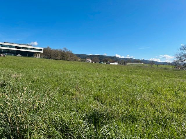 Industrial land for sale in Derio