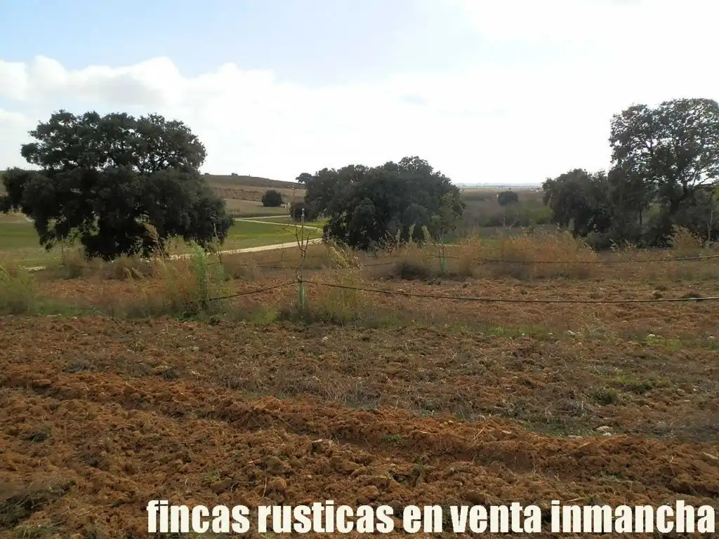 Terreni e lotti in vendita a Torrijos, imagen 8