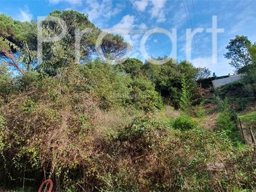 Terrenos y solares en venta en Agudes