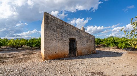 Finca rústica de regadío de mandarinos en Godall