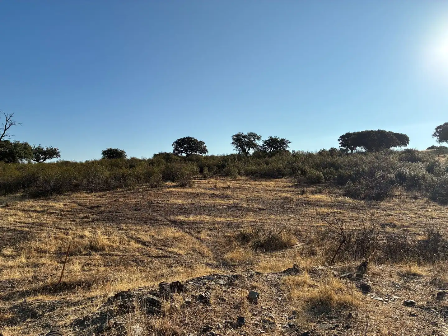 Rural land for sale in Puerto de San Vicente, imagen 16