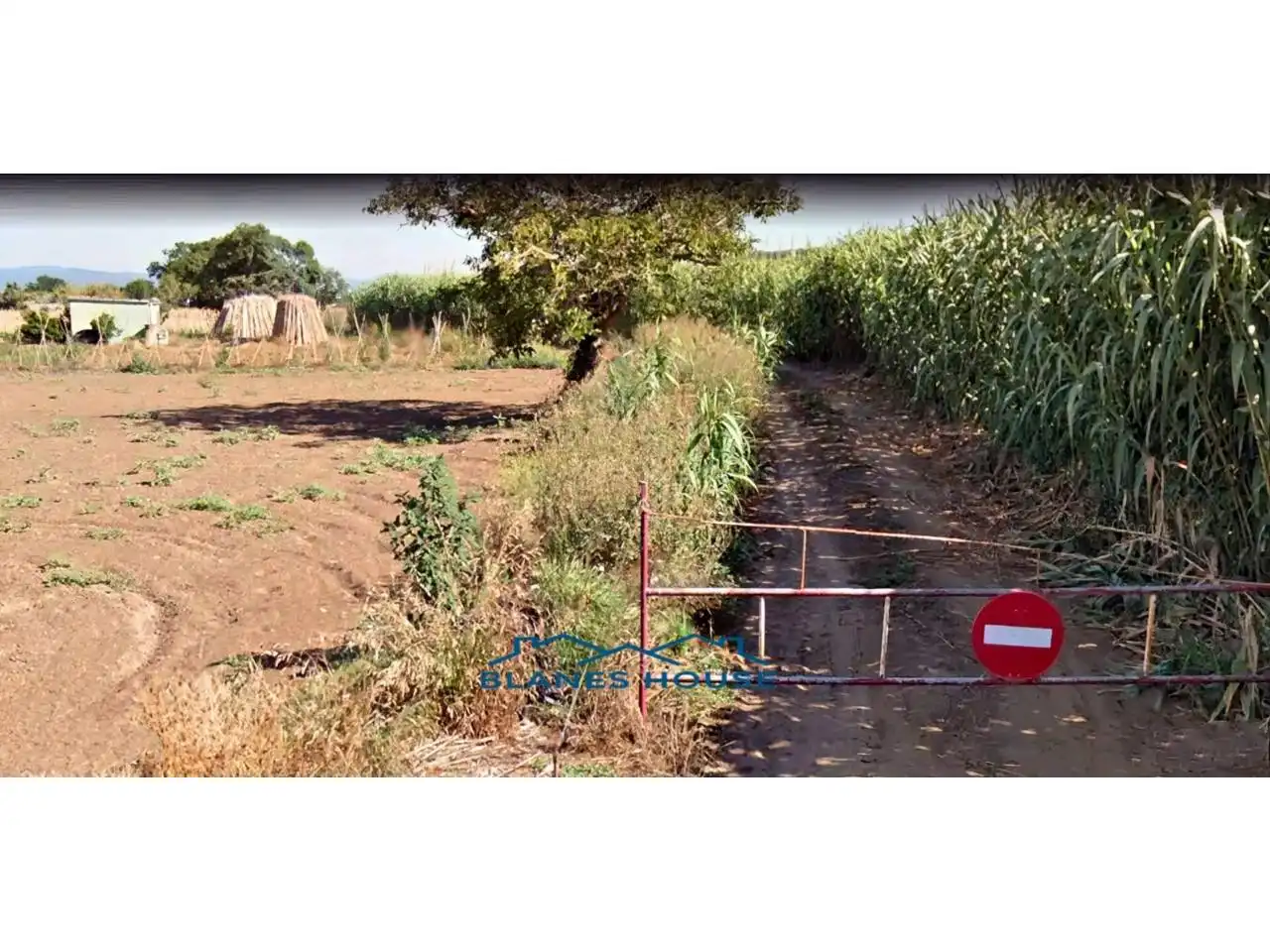 Rural land for sale in Calle Rec de Viver 24, imagen 5