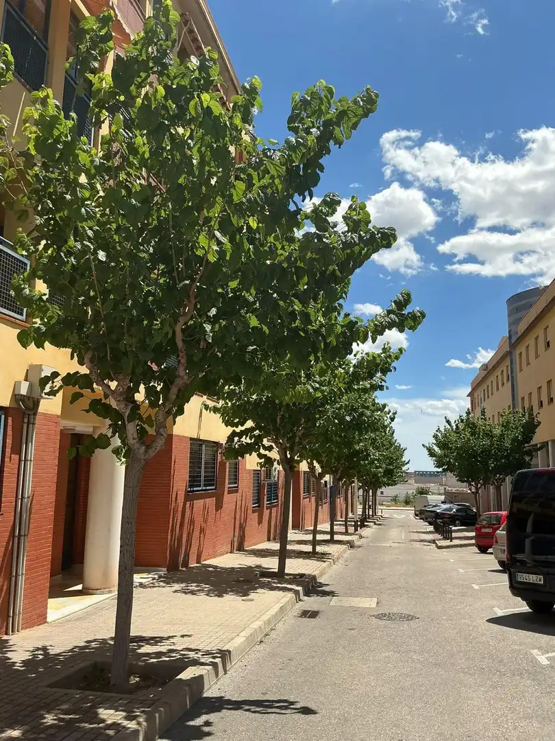 Vista exterior de Pis en venda en Elche / Elx amb Balcó