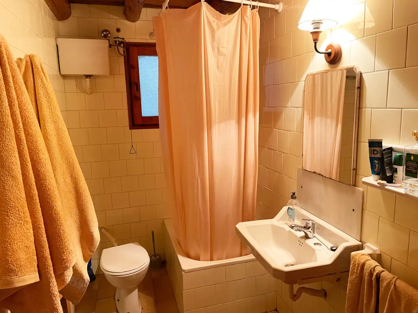 Bathroom of Houses for sale in Lladorre  with Storage room and Furnished