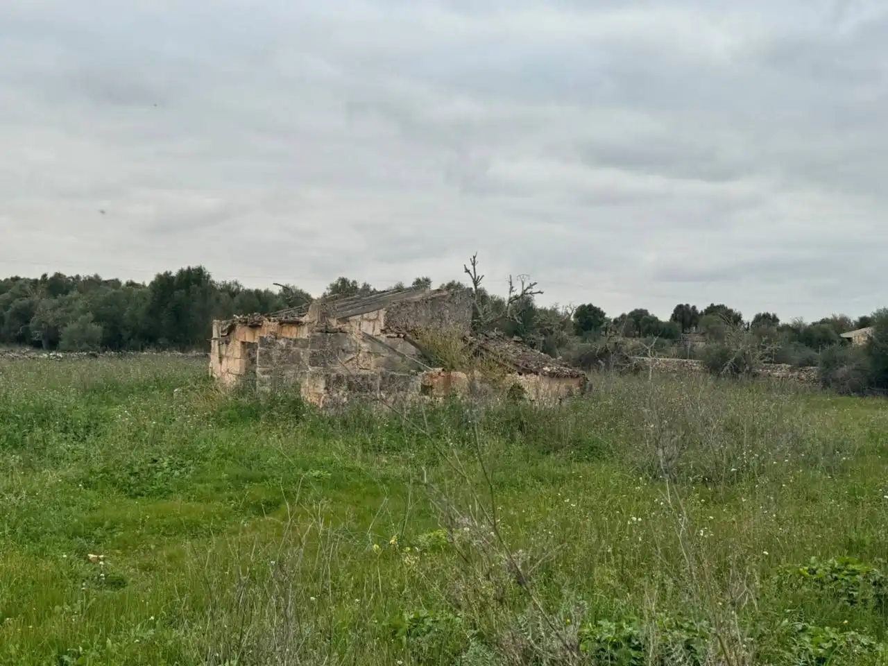 Terreny rústic en venda a Santa Margalida Poble, imagen 63