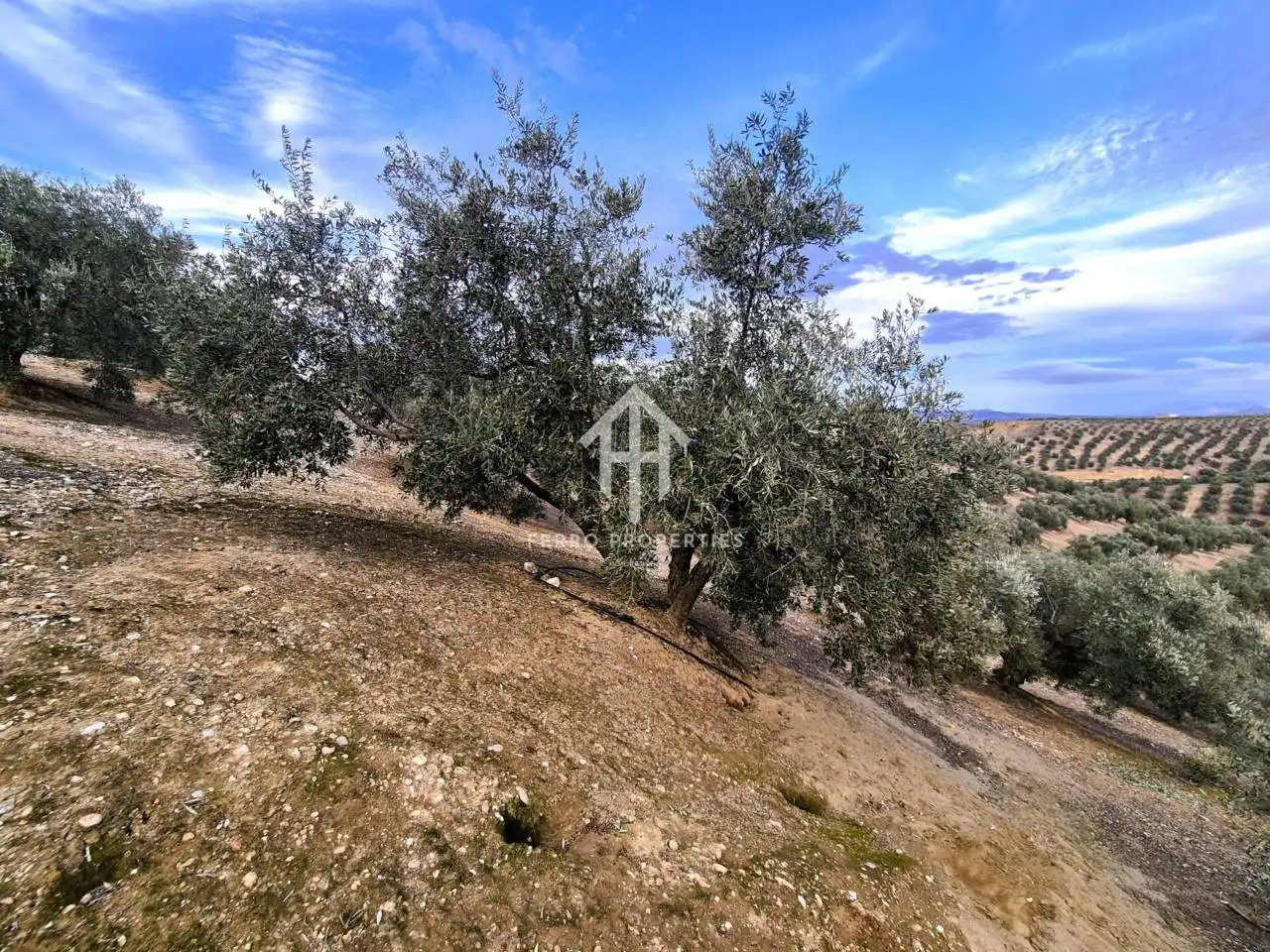 Terreni e lotti in vendita a Huétor Tájar, imagen 3